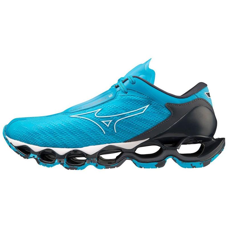 ダイフロンー１２ Tênis Esportivo Masculino Mizuno Wave Prophecy 12 | Flávio's
